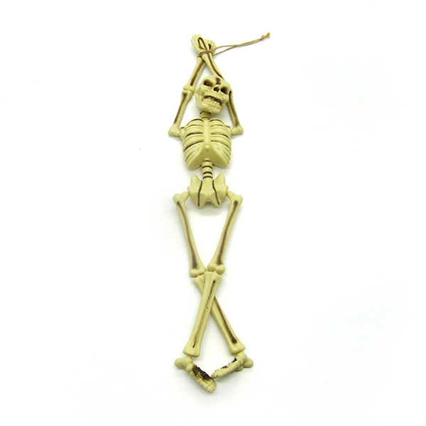 Hanging Skeleton
