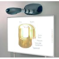 Interactive Whiteboard Ph-1500-85