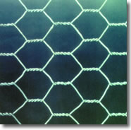 hexagonal wire mesh