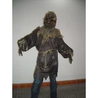 Scarescrow costume