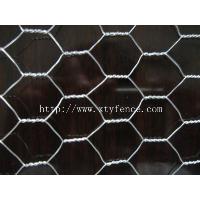 Chicken Coop Galvanized Wire Mesh