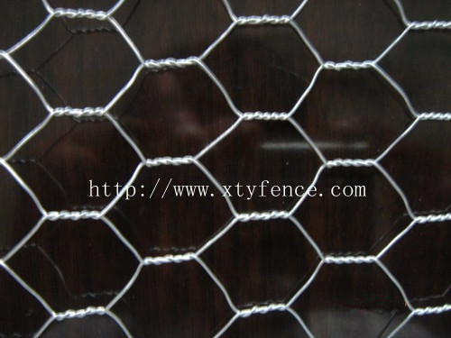 Chicken Coop Galvanized Wire Mesh