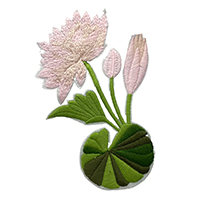 CharmTex Garment Accessories Co., Ltd.