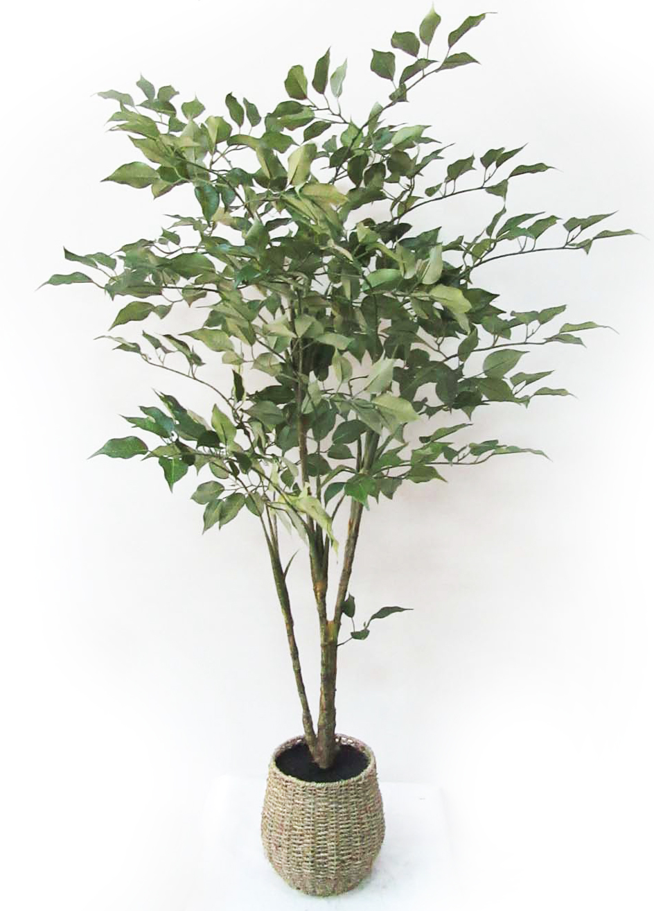 Faux Bamboo w/Rattan Base