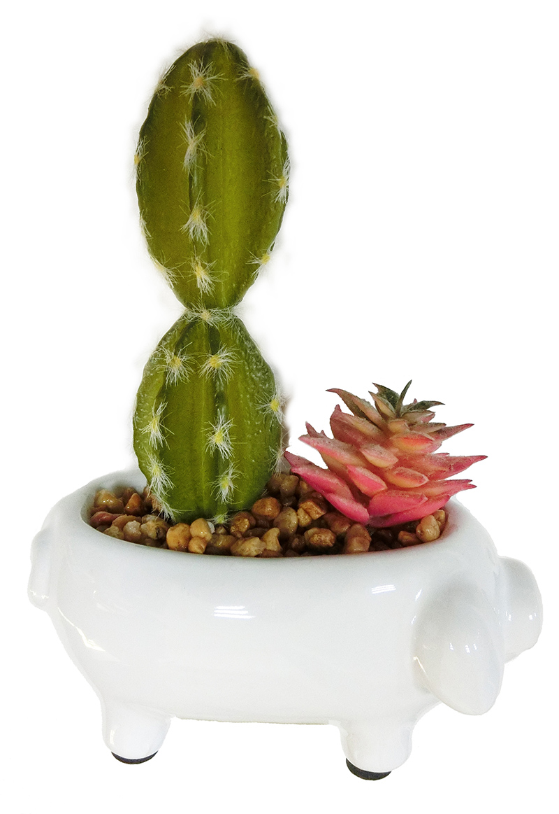 Cactus Succulent w/ Animal Ceramic Base
