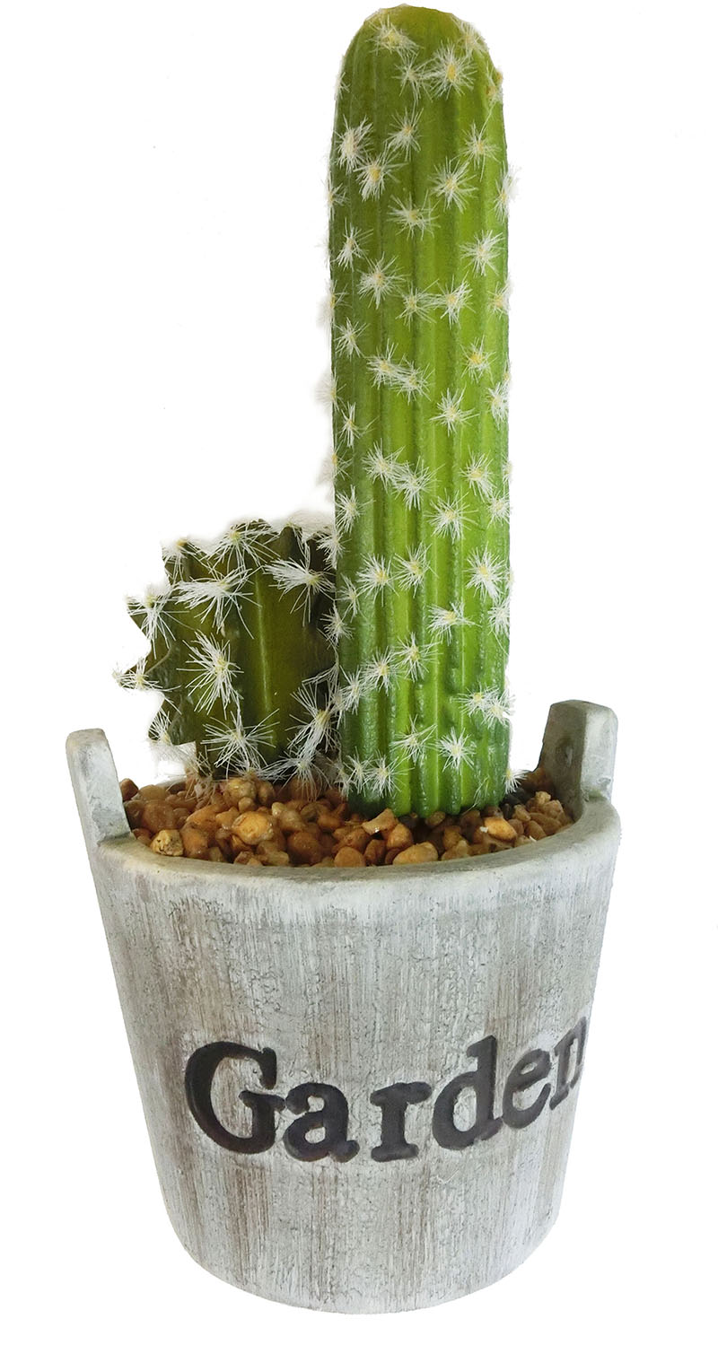 Cactus Succulent Wood Base w/ Text