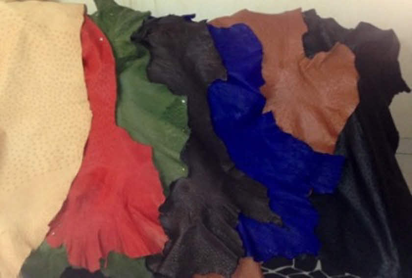 ostrich finished leather