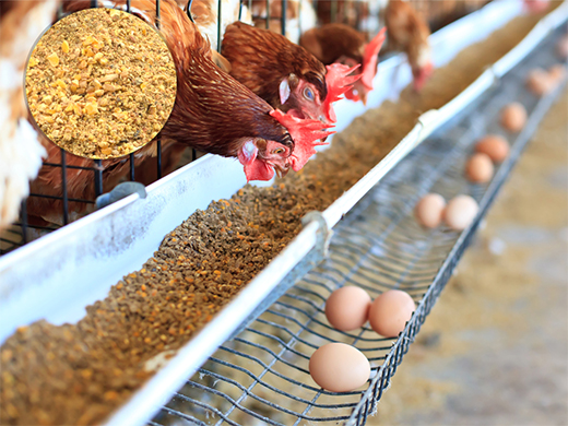 Sell Chicken Feed Mill Plant, Chicken Feed Mill Plant