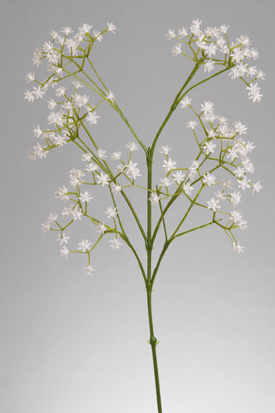 GYPSOFILIA SPRAY X 162