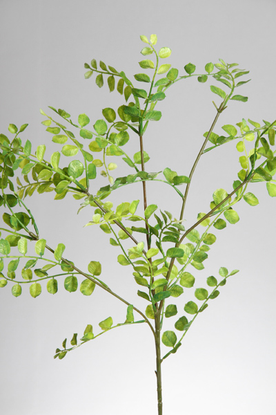 FAN PALM LEAF SPRAY X 36