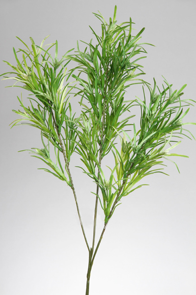 PRODUCARPUS SPRAY X 3