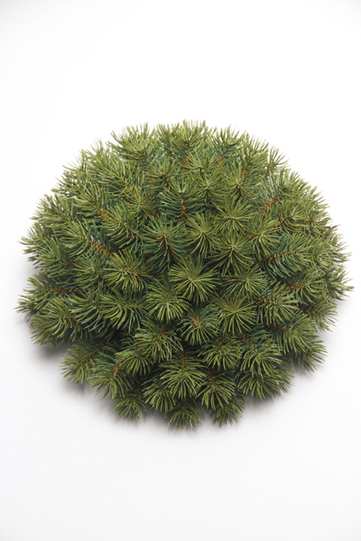 PINE SEMI BALL