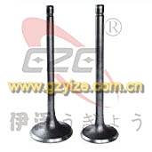 Intake Exhaust Valve
