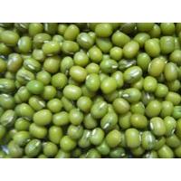 China Green Mung Beans (2011 Crop)