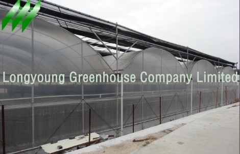 Plastic Film Multi-span Greenhouse