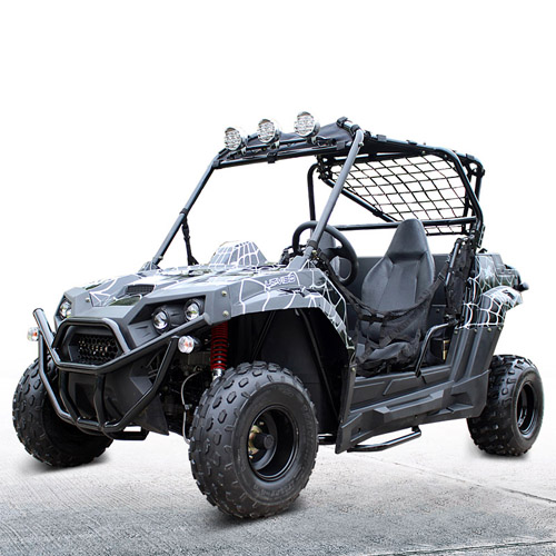 Df200gkv Eec/epa/dot Go Karts