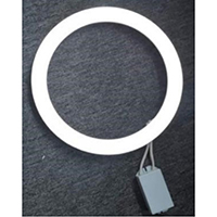 LED Circle Lamp