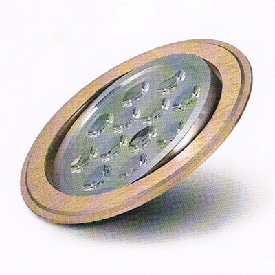 LED Ceiling Light