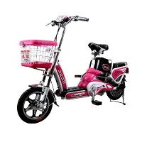 Electric Bicycle Tdr110z