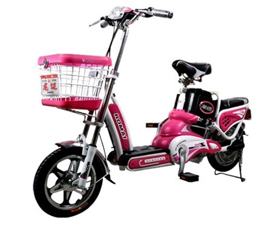 Electric Bicycle Tdr110z