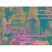 Medical Training Schools (flexible Endoscope)