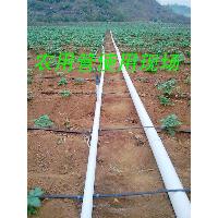 Pvc-u Pipes For Irrigation