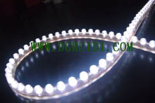 Hot Sell Led Flexible Strip Light