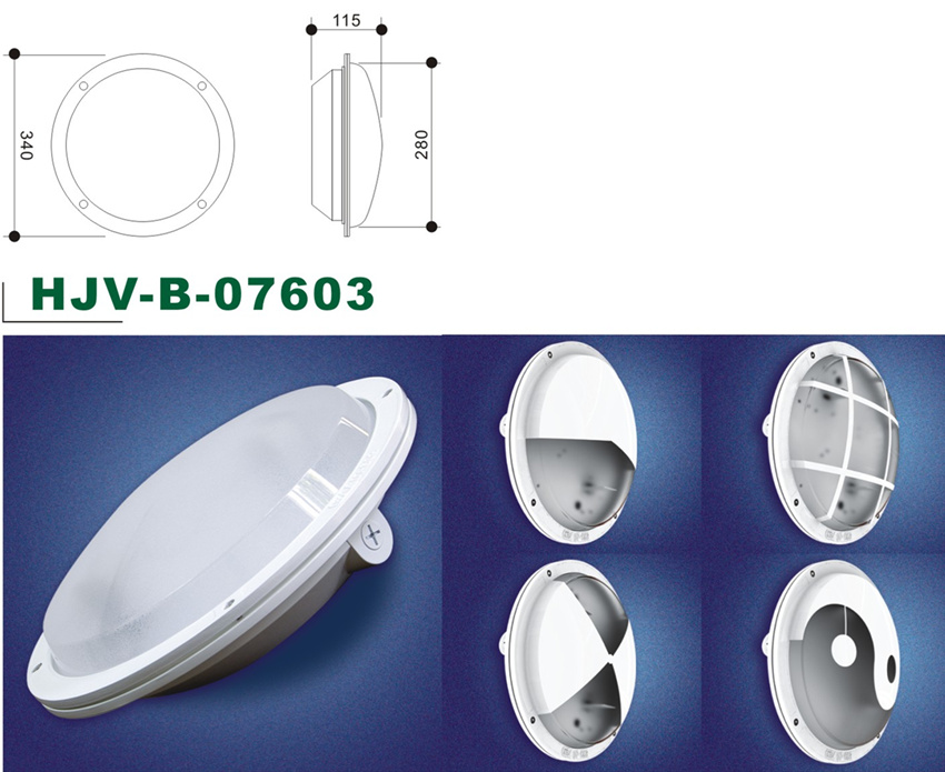 Wall/ceiling Mounted Luminaries & Bracket Series