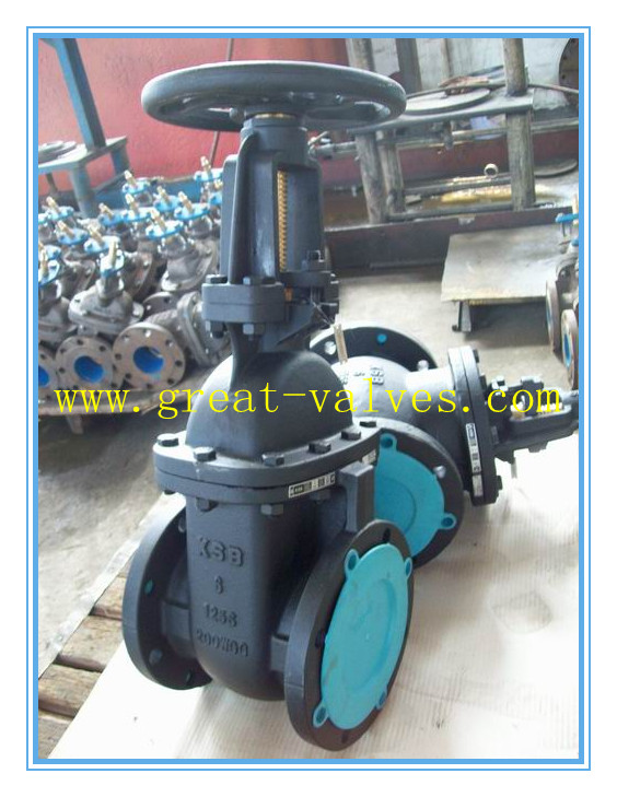 501-f (ansi) Cast Iron Os&y Gate Valve