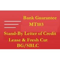 Fresh Cut Bg, Sblc And Mtn For Lease