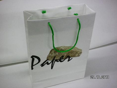 Shopping Bag