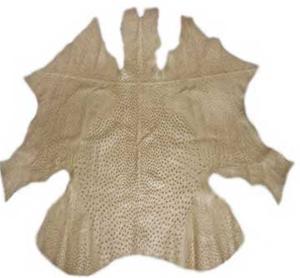 Sell Crust and wet blue skins