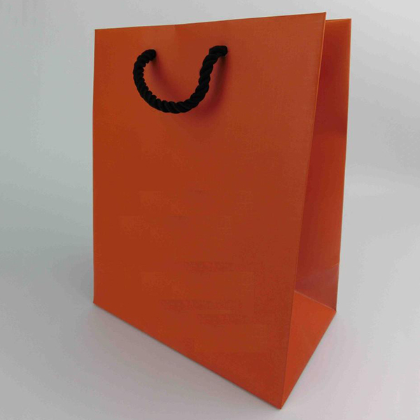 Paper Bag