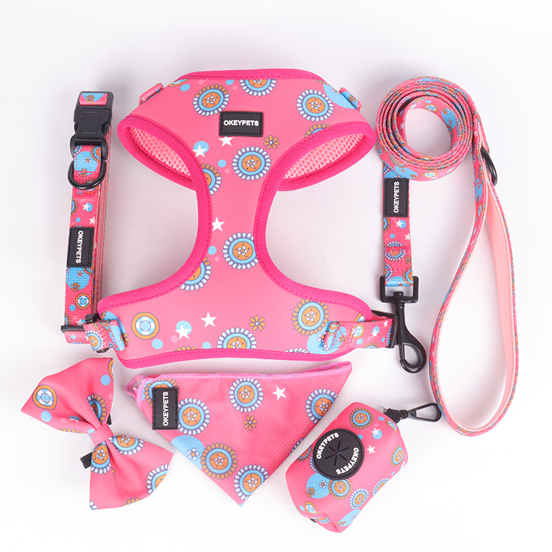 OKEYPETS Suppliers Customized Pattern Adjustable Dog Collar Matching Dog Leash Pet Harness Set