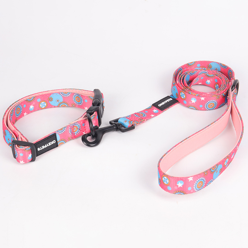 OKEYPETS Professional OEM Private Label High Density Polyester Webbing Pet Dog Collar With Leash
