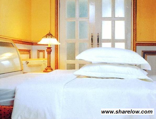 Sell Pillow (SHARELOWBP0001)