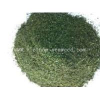 Dried Ulva Lactuca Seaweed