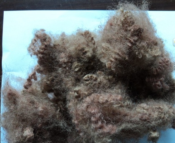 Sell Highly Elastic Hollow Regenerated Polyester Staple Fiber