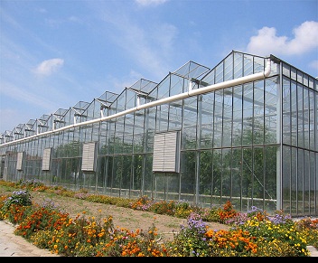 The Glass Greenhouse