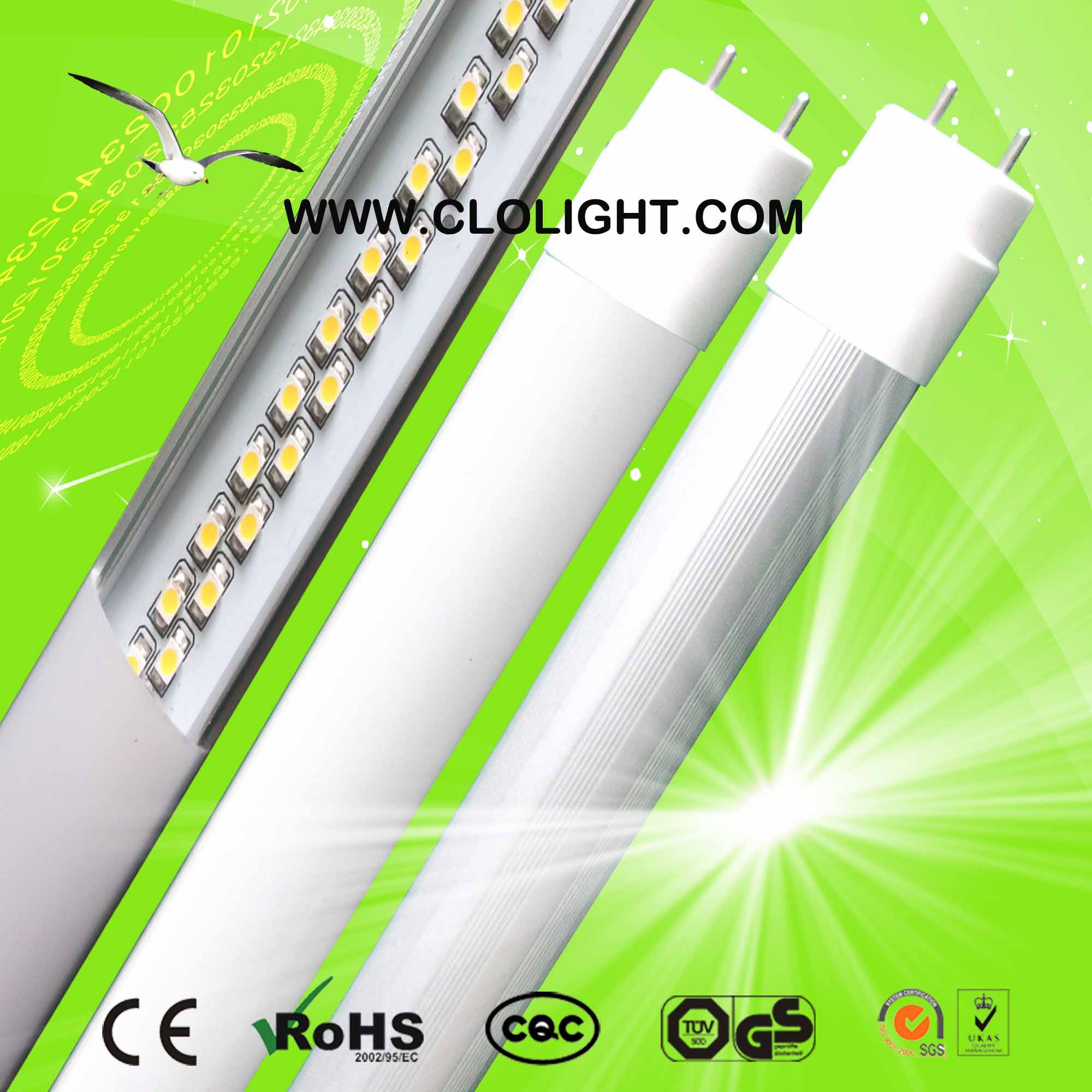 T8 LED tube light