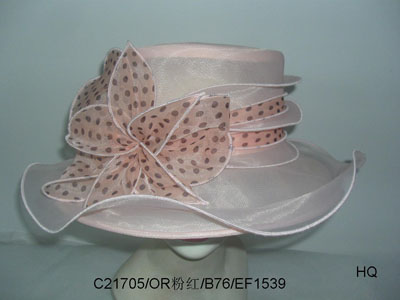 Organza Hat