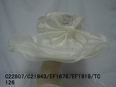 Organza Hat