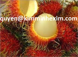 Sell Rambutan Fruit Vietnam