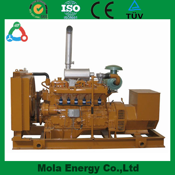 Sell small biogas generator