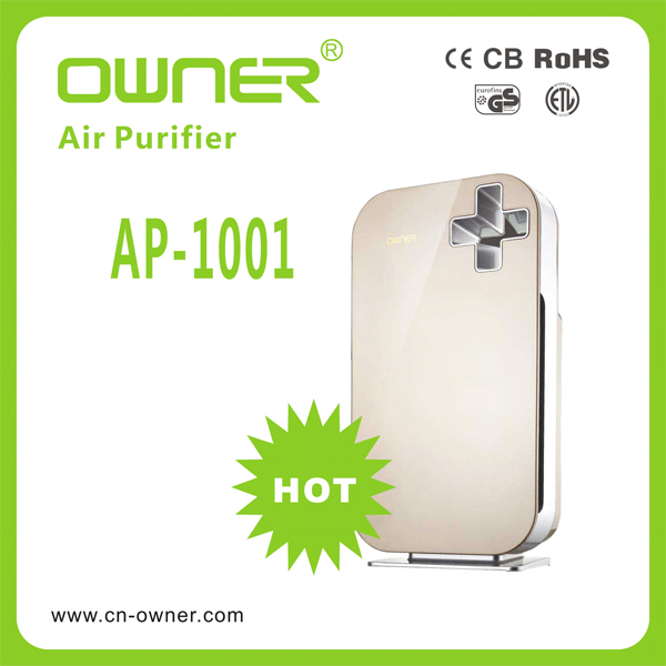 Best Air Purifier with Ionizer