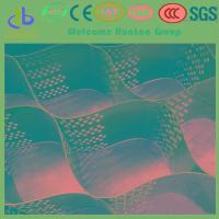 Sell Black HDPE Geocell With Hole in Textured Surface