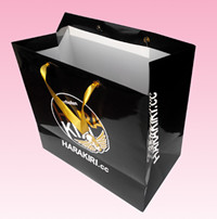 Custom Luxury Paper Shopping Bag