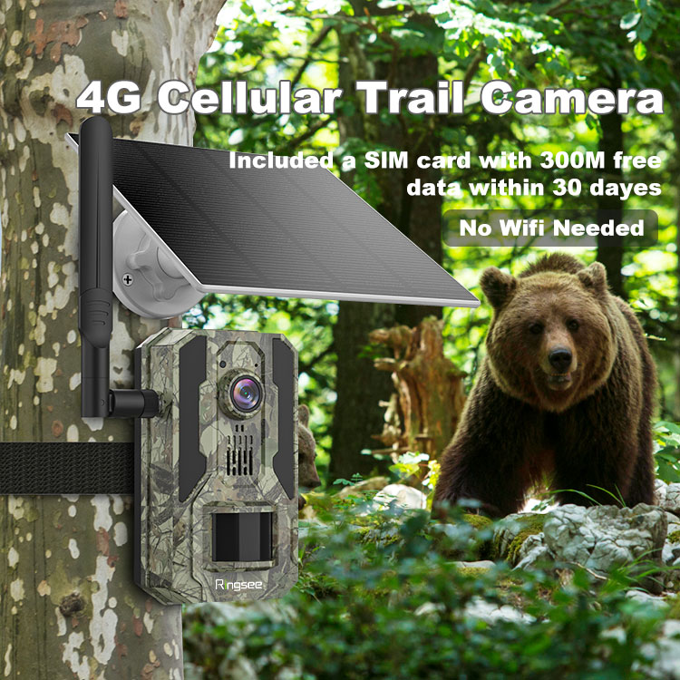 4G Cellular Trail Cameras