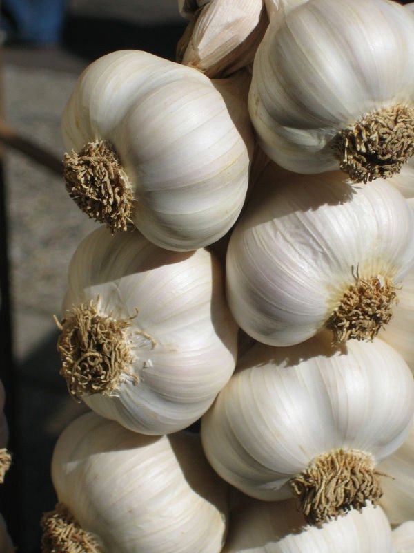 Pure White Garlic And Normal White Garlic