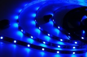 Led Strip Light 5050/3528 With Ce&rohs Certifaction